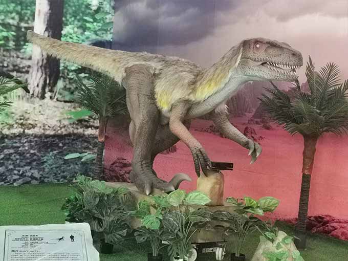 源码之家 - www.mycodes.net